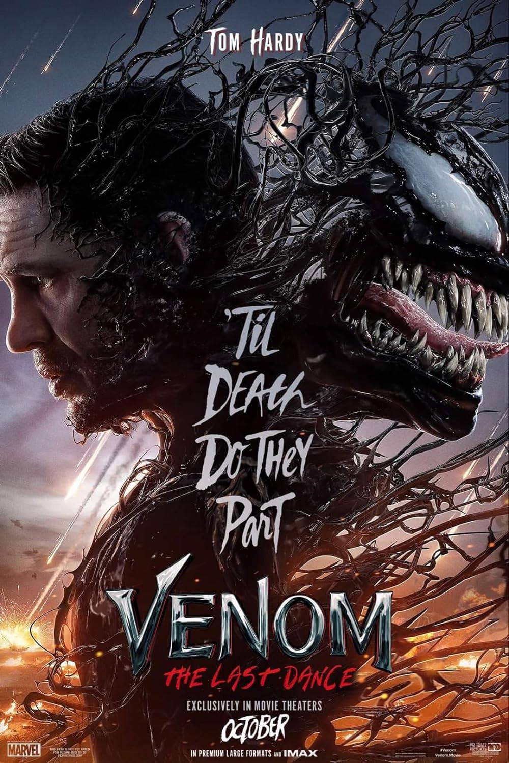 Venom The Last Dance 2024 English Movie 1080p | 720p | 480p HDCAM Download