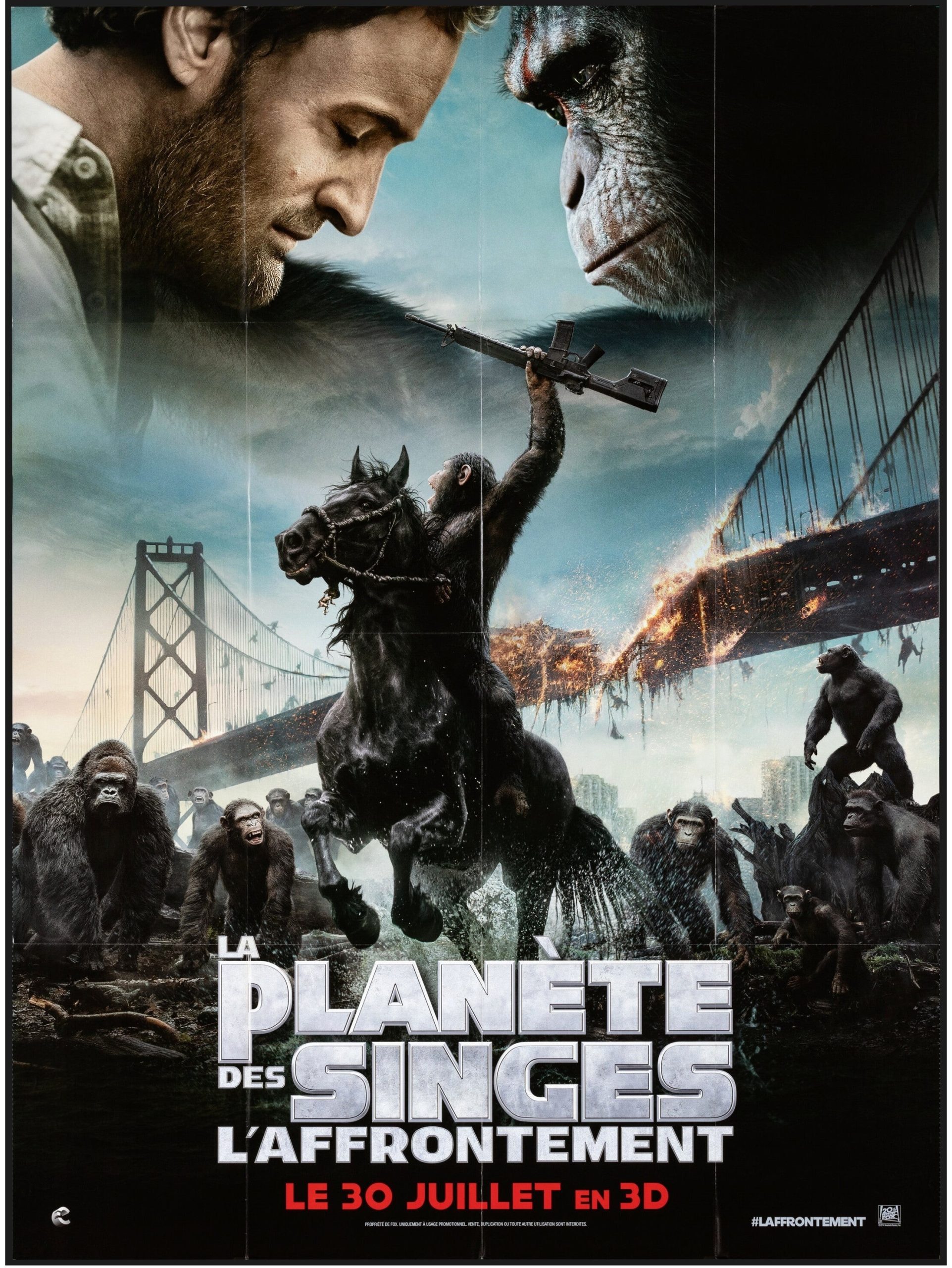 Dawn of the Planet of the Apes 2014 Hindi Dual Audio 1080p | 720p | 480p BluRay ESub